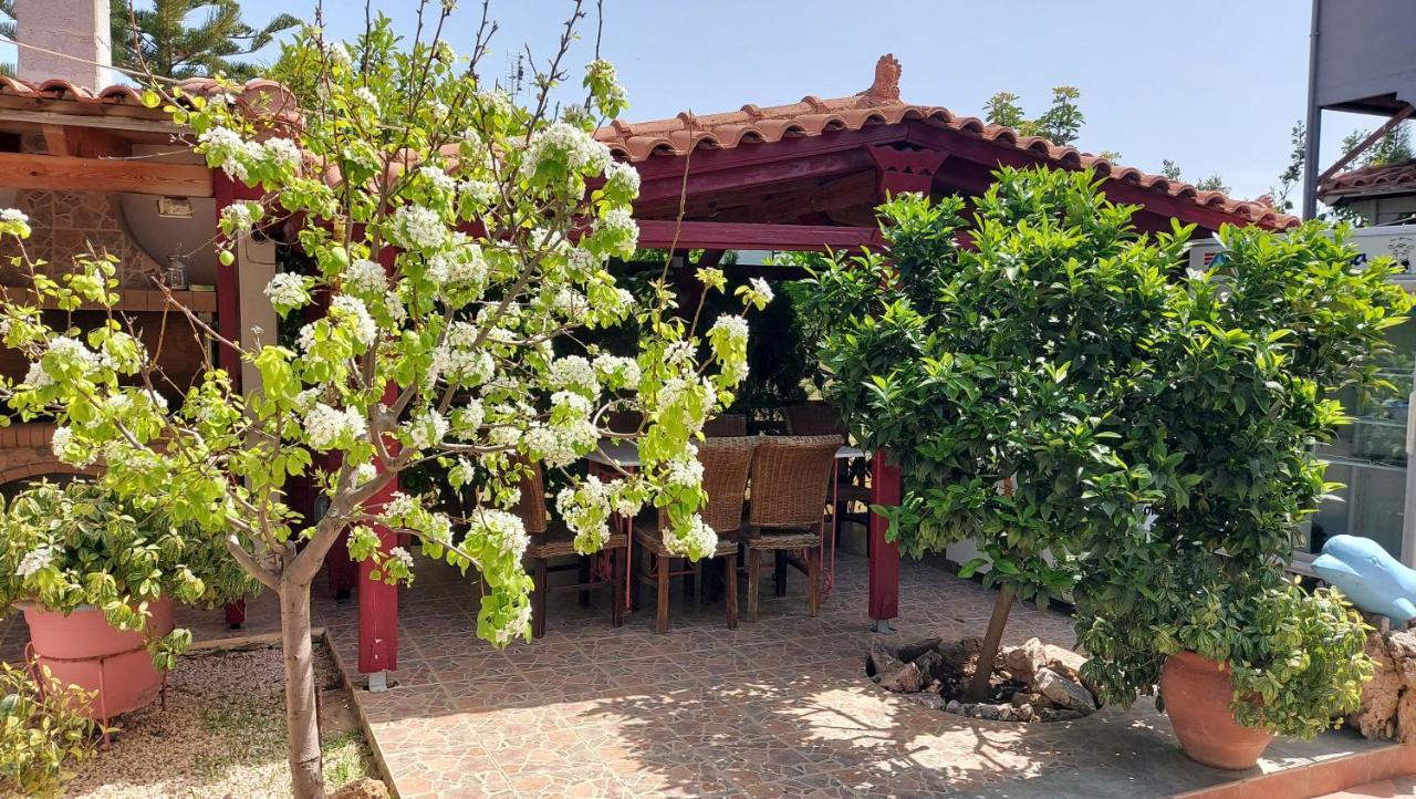 Assos Airport 1 Villa อาร์เตมีดา ภายนอก รูปภาพ